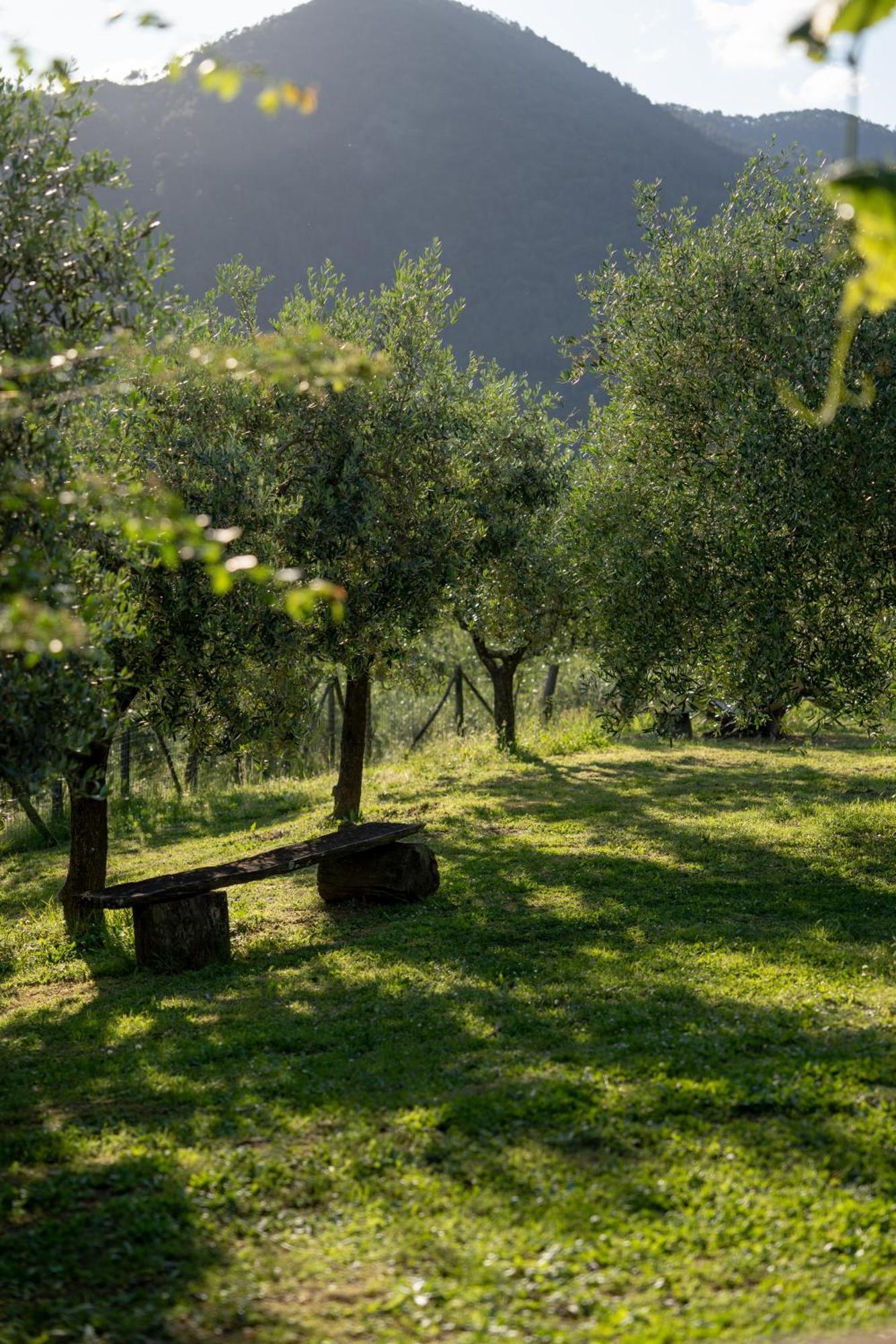 Agriturismo I Due Ghiri - Cinque Terre Calice al Cornoviglio 外观 照片